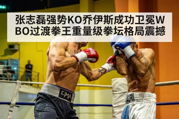 heavyweight boxing match