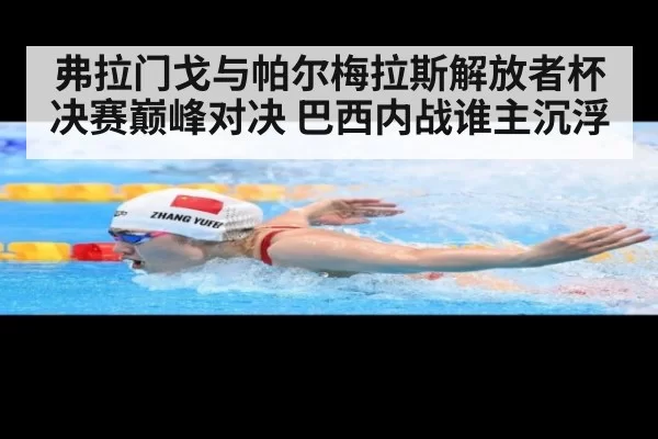 弗拉门戈与帕尔梅拉斯解放者杯决赛巅峰对决 巴西内战谁主沉浮